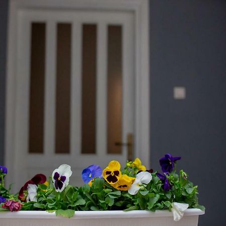 Apartmani Sunset Rogotin Eksteriør bilde